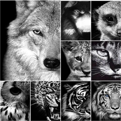 Diamond Embroidery Black And White Animals Cross Stitch Diamond Painting Animal Lion Tiger leopard Mosaic Handmade Decoration G