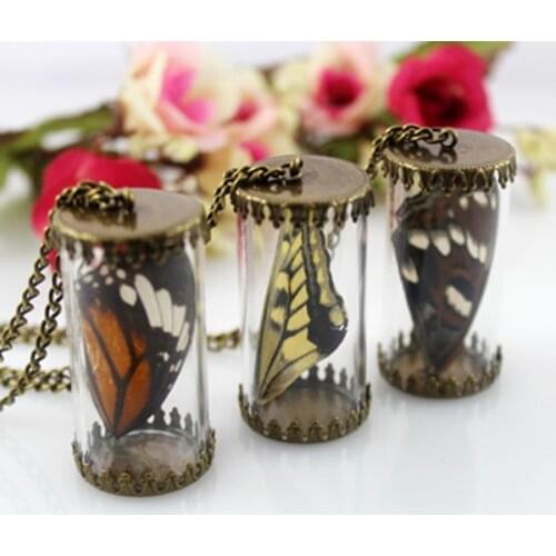 2PCS Butterfly Feather Real Insect Wings Bottle Metal Rope Chain Statement Necklace Women Choker Jewelry Boho Bohemian