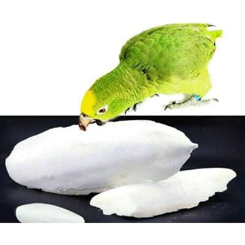 1 Bag Cuttlebone Cuttlefish Sepia Bone Cuttle Fish Bird Food Calcium Pick Stone for Pet Budgie Parrots Hamster Bird Toy