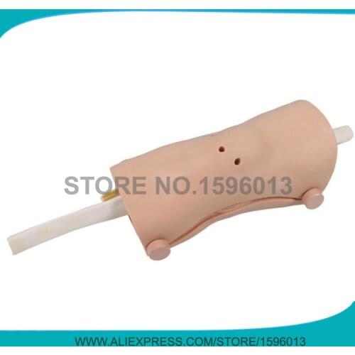 Advanced Knee Arthroscopy Model, Medical Arthroscopic Examination Training Knee Joint Model