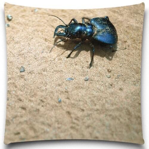 Beetles on the beach Cotton/polyester Home Car Decor Couch Insect butterfly pattern Square Cushion Cover For Sofa Decorative