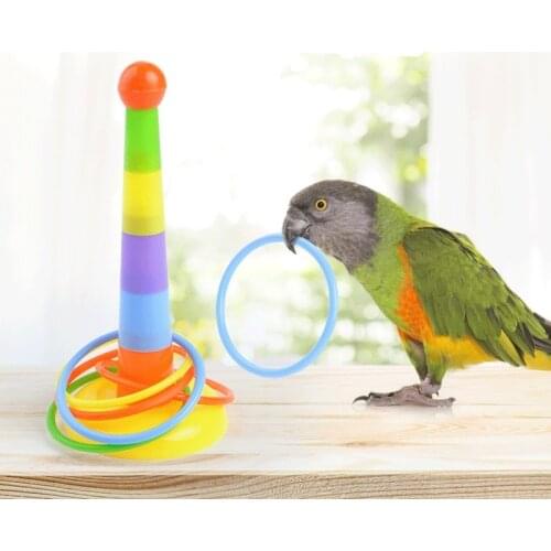 Bird Toy Activity Training Colorful Rings Funny Mini Ferrule Toy for Parrot Development Interactive Toy Supplies Drop Shipping