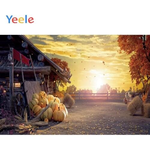 Autumn Farm Pumpkin Leaves Real Scene House Baby Portrait Vinyl Background Photography Backdrops Backgrounds For Photo Studio