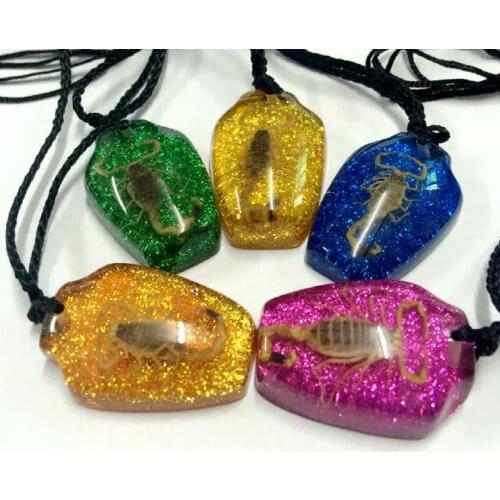 FREE SHIPPING 15 pcs pendant colorful vase style real scorpion charming jewelry