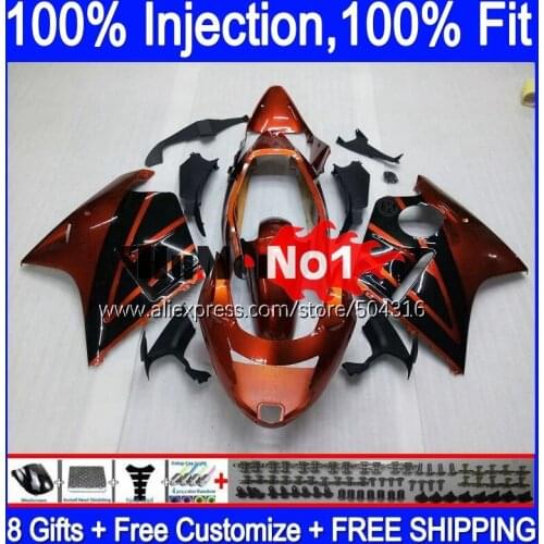 Blackbird For HONDA CBR 1100 XX CBR1100XX 92MC.10 CBR1100XX 1996 1997 1998 1999 2000 2001 96 97 98 99 00 01 Fairing Orange black
