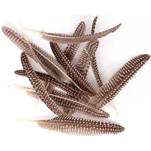 Factory 100pcs/lot pheasant feathers 15-20cm/6-8inch Accessories carnival Guinea fowl feathers For Craft Wedding DIY plumas