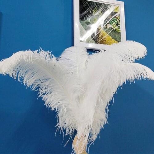 10Pcs/Lot DIY Wedding White Ostrich Feathers Plume Crafts Natural Ostrich Feather Long Party Christmas Plumas Decoration 15-70CM