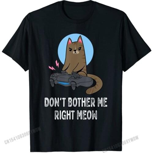 Don't Bother Me Right Meow Funny Video Gamer & Cat Lover T-Shirt Casual Cotton Men Tops T Shirt Europe Rife Tshirts