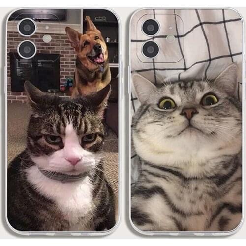 Painted cat Phone Case For Iphone 12 Mini 11 Pro XS Max XR X 8 7 6 6S Plus SE2020 5 5S SE Cover Shell Coque