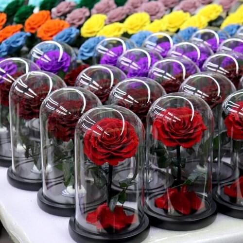 Dried Flower Beauty Rose Glass Dome Immortal Rose Red Rose Valentines Day Fresh Rose Mothers Day Special Romantic Gift Rose Gl