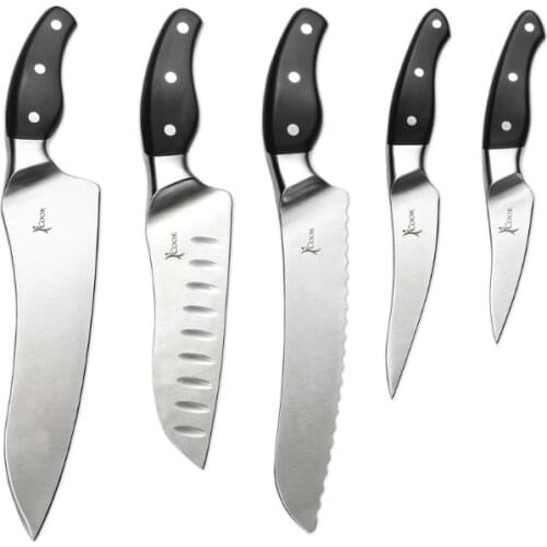 %100 ORIGINAL * iCook™ 5-Piece Knifeware Set - Amway 102709 * FAST SHIPPING