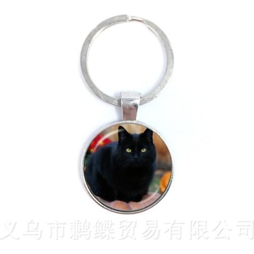 Cat Lover Keychains 25mm Round Glass Dome Animal Handmade Neo-Gothic Keyring Gift Lover Your Beloved Pet