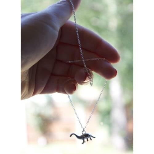 2021 Fashion Dinosaur Pendant Necklace Tibetan Silver Color Jewelry Metal Stainless Steel Gift Fit Women Chain length 45cm
