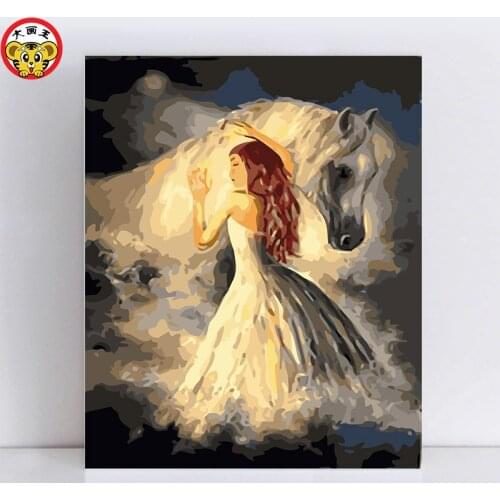 Painting by numbers art paint by number paintings drawing coloring on canvas with frame numbering kit White horse and girl