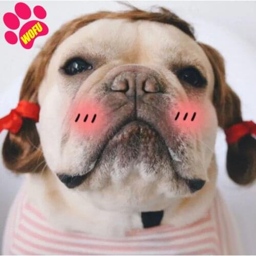 WOFUWOFU Parrucca Per Gatti Divertente, Animali Domestici, Pet Copricapo, Accessori Feste The Dog Face