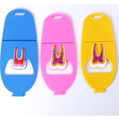 3pcs Rubber Dental Clinic Tooth Business Name Card Holder Case Display Stand