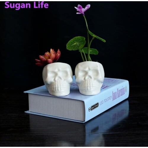 NEW Cartoon Skull White Flower Pot Ceramic Creative Micro Landscape Garden Succulent Plant Cactus Potted Hydroponic Flower Pots