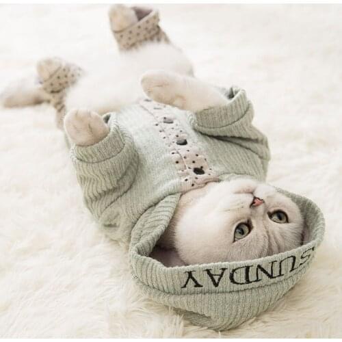 Dog double hair ball small dog autumn and winter thickened four-legged cat pet clothes Teddy Bomei cotton coat cat accessories