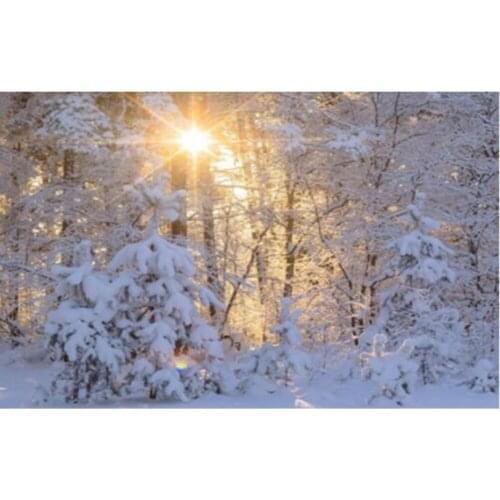 Diamond Painting Winter Landscape Rhinestone Art Picture Full 5D DIY Diamond Embroidery Cross Stitch Kit Mosaic Home Decoration