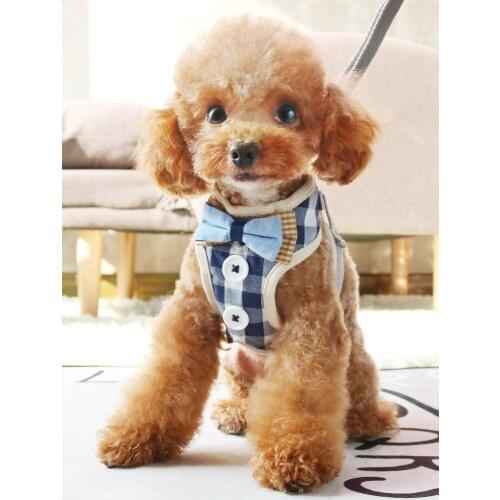Dog Leash Small Dog Bowknot Vest Chest Harness Dog Leash Adjustable Mesh French Bulldog Chihuahua Pet Supplies S/M/L