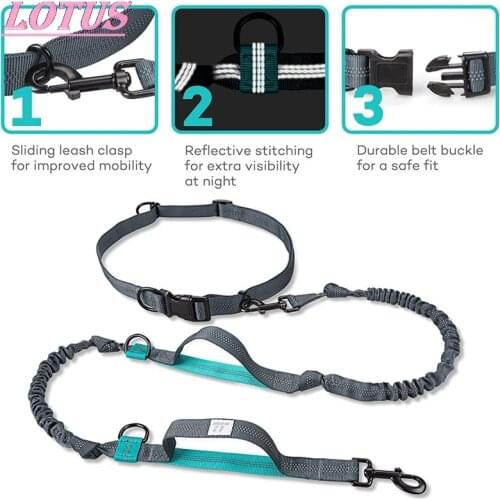 New Reflective Leash Traction Pet Dog Running Belt Elastic Leash Traction Rope Jogging Pull Dog Leash hotsale 1pc