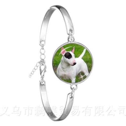 Vintage Silver Plated Bracelet Pug In A Tea Cup Dog Glass Cabochon Chain Bangle For Women Men Jewelry Gift