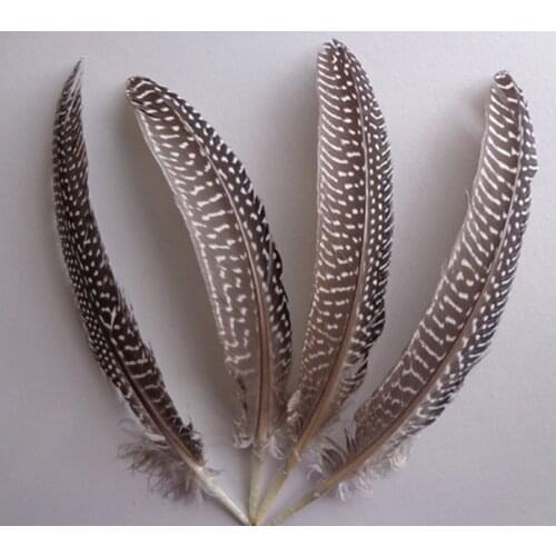 Veren!plumas! 100pcs/Lot 13-16cm Natural Black&White Guinea Fowl Wing Feathers Guinea Hen Wing Quills