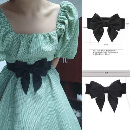 Womens Cotton-Padded Belt Waist Trimming Versatile Down Jacket Universal Belt Casual All-Match Quilted Womens Waist Seal Strap