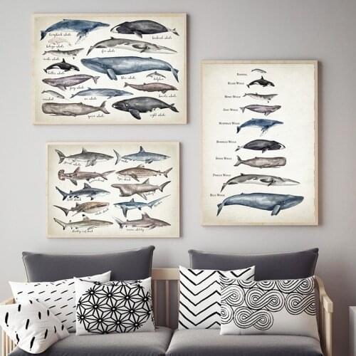 Sharks of The World Art Canvas Prints Great White Shark Poster Mako Hammerhead Tiger Bull Basking Whale Painting Bathroom Decor