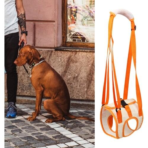 Pet Dog Hind Leg Mesh Belts Walking Bracket Support Harness Dog Safety Care Rehabilitation Exercise Old Injured Disabled Supplie