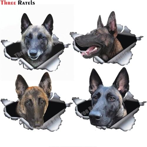 Three Ratels B409 Belgian Malinois Car Sticker Torn Metal Decal Stickers Waterproof Belgian Shepherd Pet Dog 3D Decals