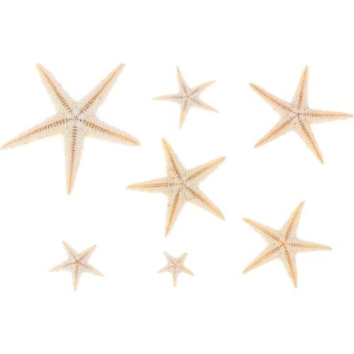 Sea Shells Size:0.5-3cm 100pcs Mini Starfish Craft Decoration Natural Sea Stars DIY Beach Cottage Wedding Decor Crafts Wedding