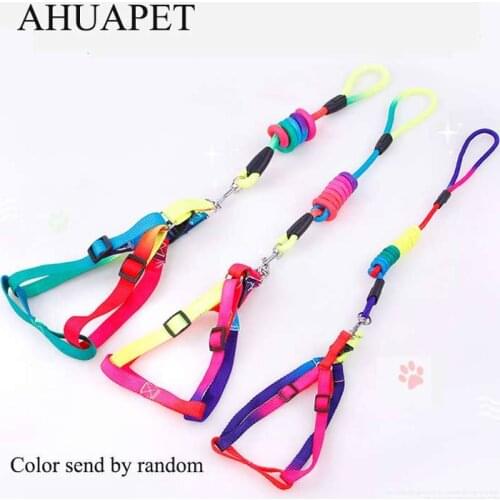 120cm Long Leash For Dogs Rope Harness For Chihuahua Accessories Adjustable Reinforcing Rainbow Nylon Lead Slip Neck Strap E