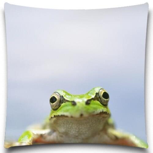 Frog/Snail/Golden fish Pillow case Creative insect Polyester Square Home Decor Sofa Car Seat Decorative