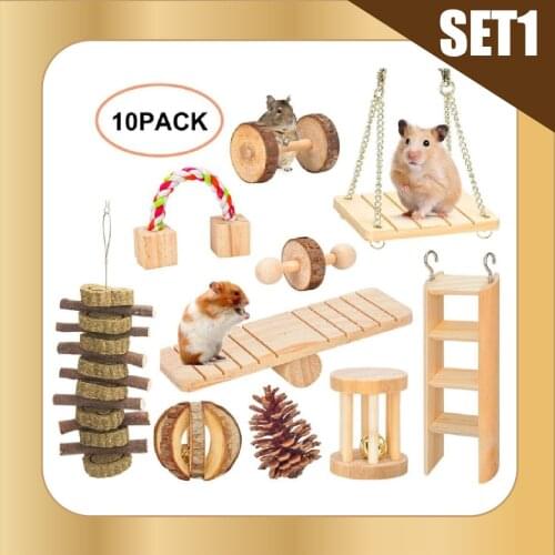 Hamster Chew Toys Set Natural Wooden Hamster Toys and Accessories Teeth Care Molar Toys for Guinea Pigs Syrian Hamster Toy Set