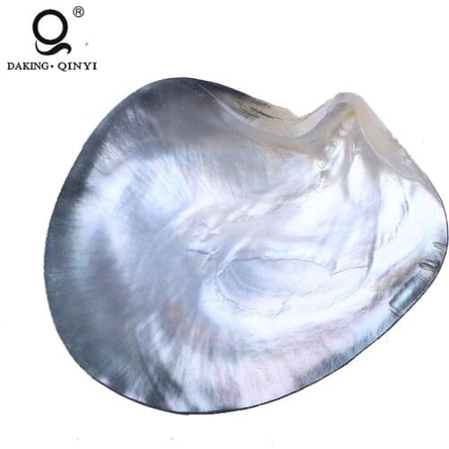 Chinese River Indonesian White Lip Mother Of Pearl Shell Artwork Pieces