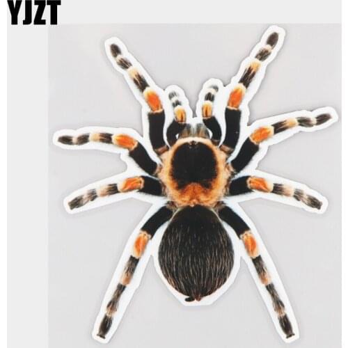 YJZT 14.4×16CM Tarantula Funny Animal Body Decoration Decals Personality Car Sticker Accessories 21A-0087