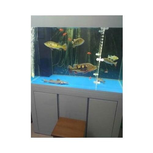 Free Shipping Waterproof Tree Root Aquarium Background Stump Poster HD Fish Tank Decorations Landscape With Glue On The Surface