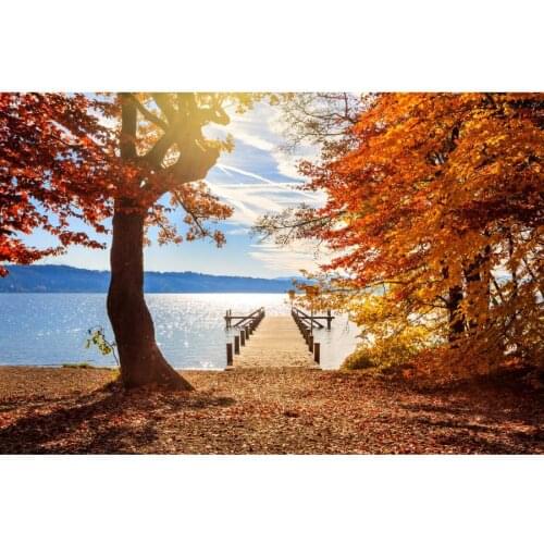 Autumn Seaside Bridge Fallen Leave Landscape Photography Backgrounds Vinyl Portrait Photographic Backdrops For Home Photo Studio