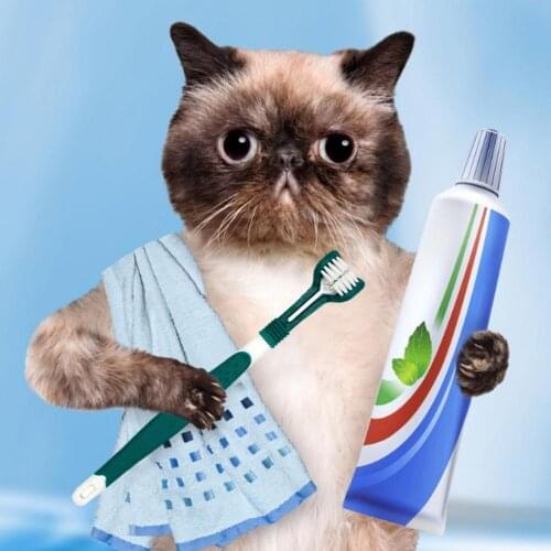 Three-Head Bad Breath Teeth Freshener Cleaning Pet Toothbrush Supplies Multi-angle Cleaning Addition Protection Oral Care