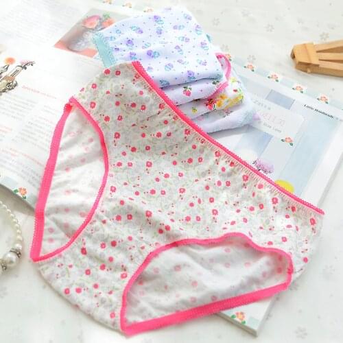 4pcs/PACK Kids Underwear Panties For Girls Cotton Baby Pants Cute Girls Underwear Mixed cute Color ZJ-F39E