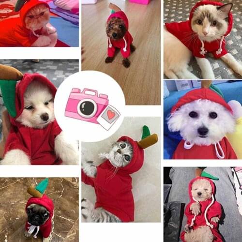 Cute Fruit Shape Dog Clothes Winter Warm Hoodies Pet Clothing for Small Dogs Bulldog Chihuahua Costume Jacket Puppy Cat Outfit