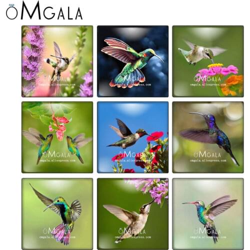 Humming Bird And Flowers Nature Art Patterns 10pcs Mixed 12mm/20mm/25mm/30mm photo glass cabochon demo flat back Making findings
