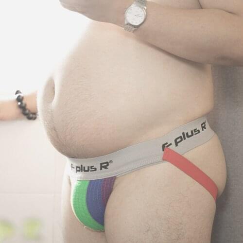 Men thongs Briefs Sexy Gay Cueca Brief Chubby Bear G-Strings buttocks underwear Penis Underpants Rainbow Panties