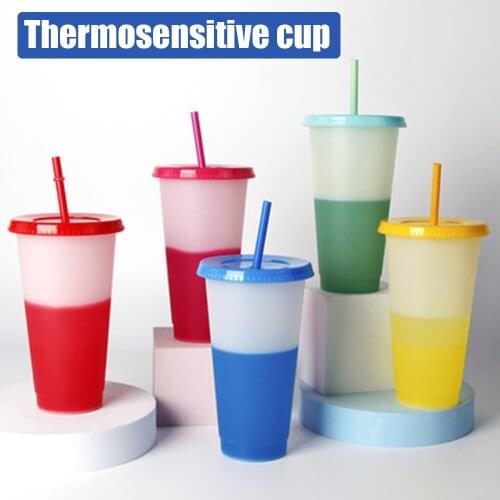 710ml Straw Cup With Lid Color Changing Cups Coffee Cup Reusable Cups Plastic Tumbler Matte Finish Reusable Plastic Cup