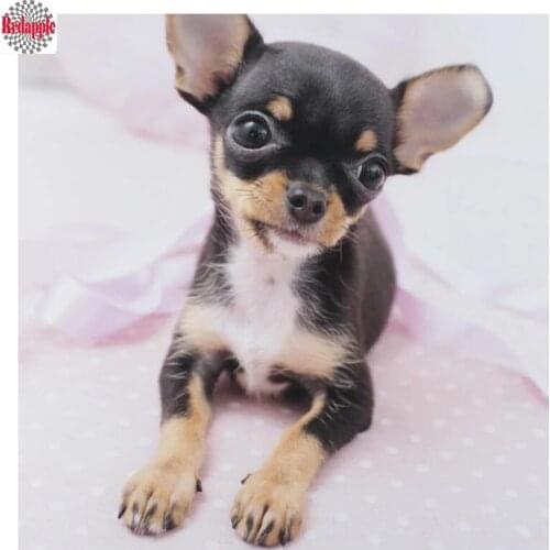 Diy diamond embroidery cute puppy chihuahua dog 5d diamond painting full drill cross stitch mosaic paintings rhinestone decor