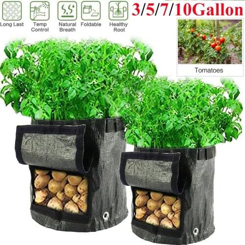Plant Grow Bags home garden Potato pot greenhouse Vegetable Growing Bags Moisturizing jardin Vertical Garden Bag seedling D30