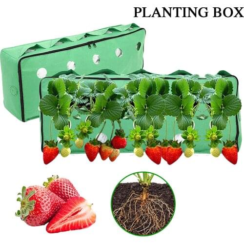 Thicken Strawberry Planting Box Gardening Seedling Bag Vegetable Planter Flower Pot Gardening Tools