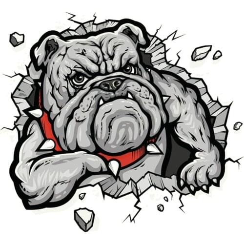 15cmx14cm Bulldog in the hole Vinyl Car stickers Decals Motorcycle Accessories Car-Window Decorative Goods PVC