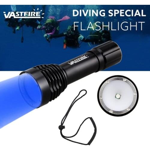 Underwater Photographing video diving Flashlight Torch 1000LM L2 Blue Violet LED